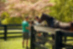 A family petting a horse by a wooden fence in a sunlit field with blooming pink trees. Smiling, relaxed mood. Text: Kentucky Tourism.
