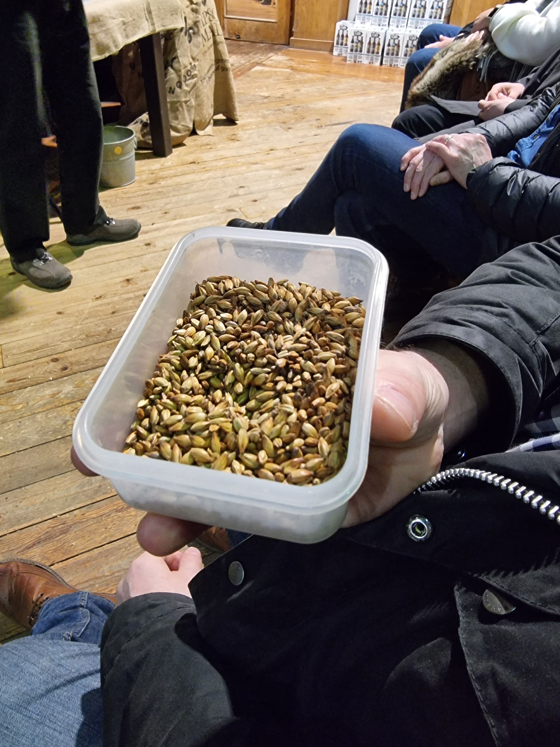 a participant on the tour at black sheep brewery hold sin their hand a plastic box containing malted barley, grains in a light brown colour