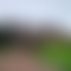 Modern brick and wood building with large windows, surrounded by green grass and benches, home to the John Lewis Heritage Centre, the visitor experience and museum for the retail brand. Overcast sky creates a serene atmosphere.