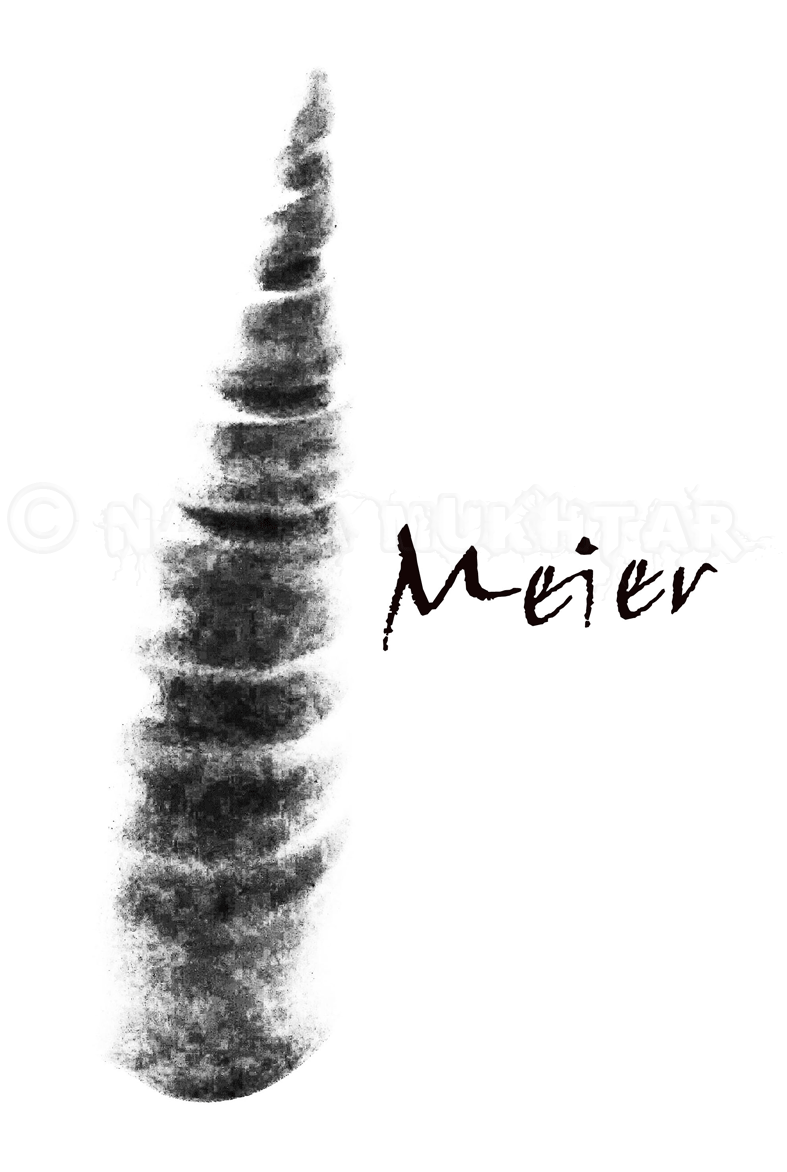 Buchcover-Herr-Meier-3.gif