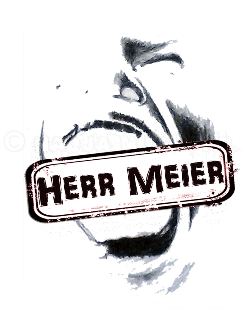 Buchcover-Herr-Meier.gif