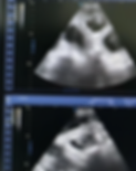 3d8208d4-b8c2-437c-ba6c-4023c1e47088_edited.png