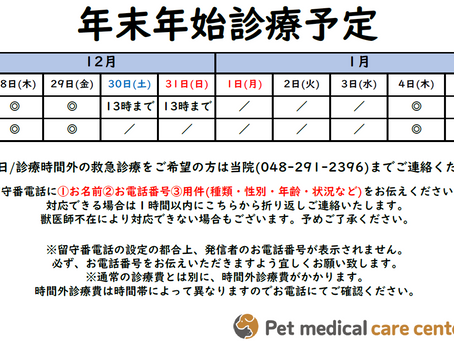 2023→2024 年末年始 診療予定