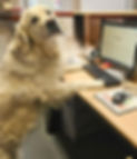 125d4c45-01e9-49f0-afed-a28d8a27ecde_edited.jpg