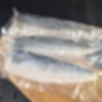 鯖魚
