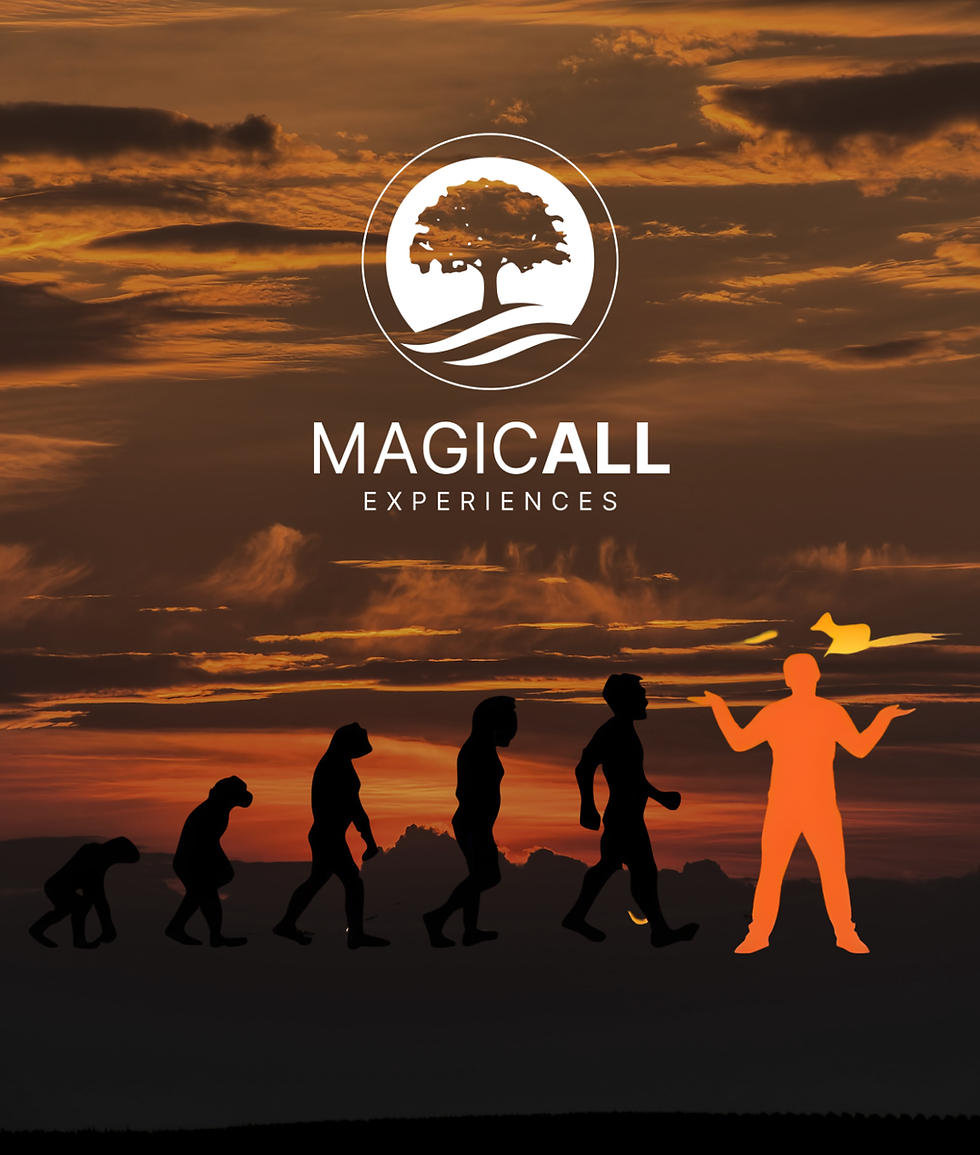 cover 2.png