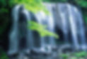 Negative Ions.JPG