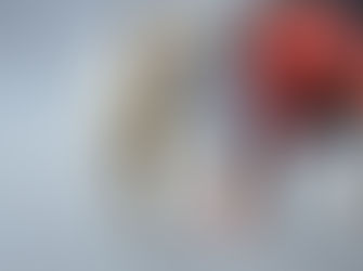 Humanización de los animales