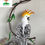 Thumbnail: Cockatoo on a branch wall art