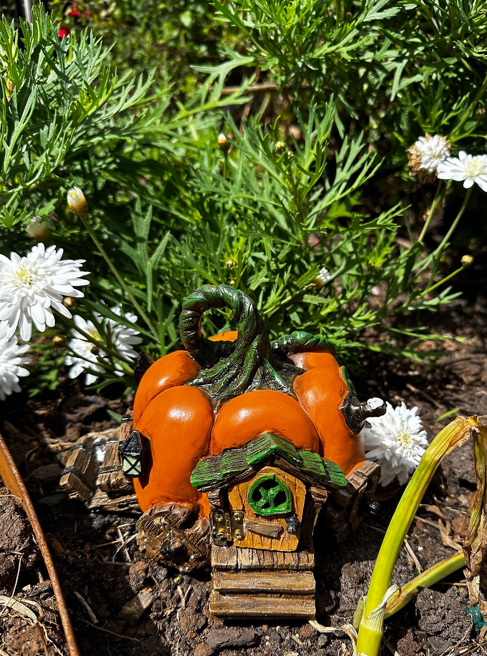 Thumbnail: Fiddlehead Pumpkin Carriage Fairy House