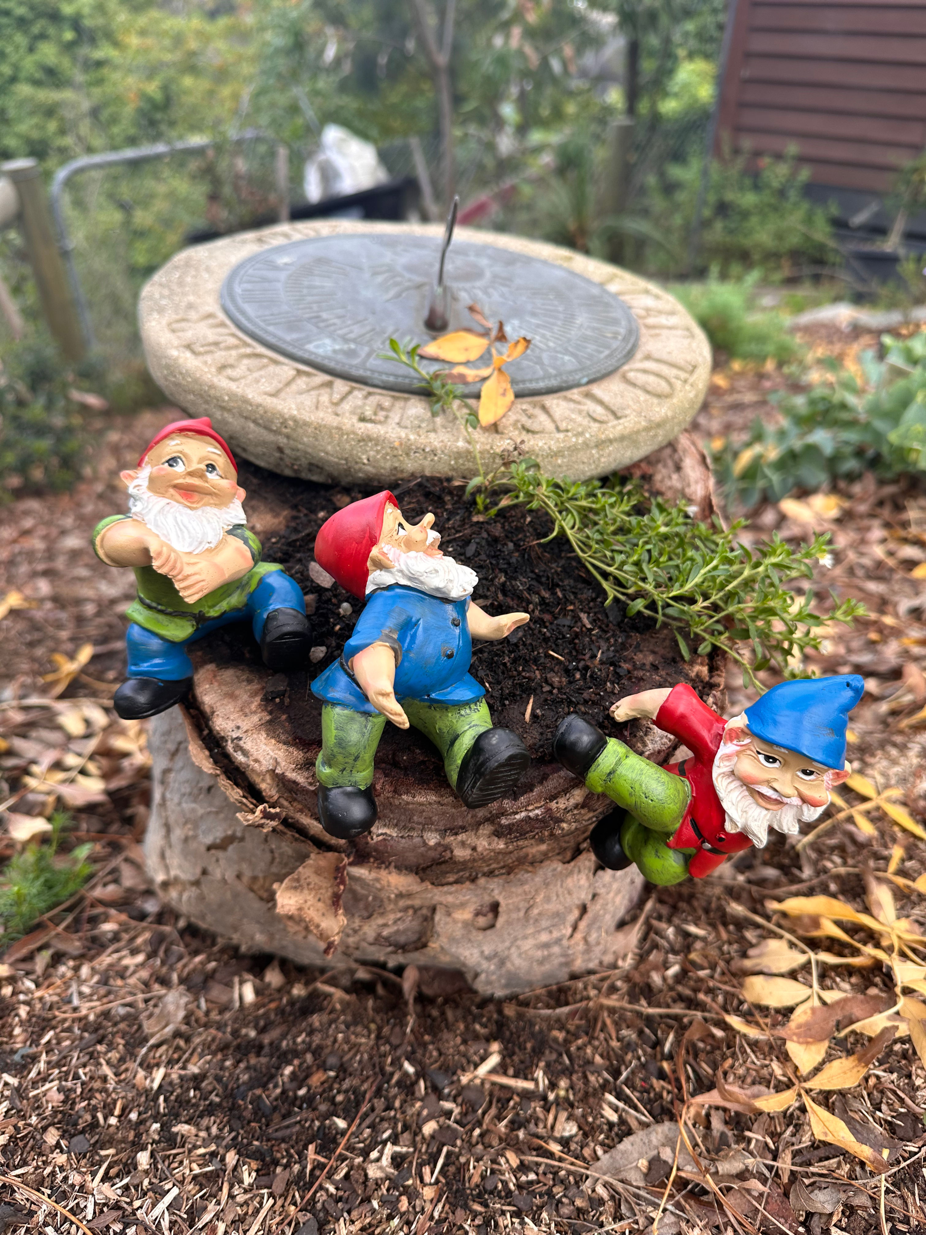 Garden Gnome pot sitters