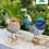 Thumbnail: Fairywren wren garden decor