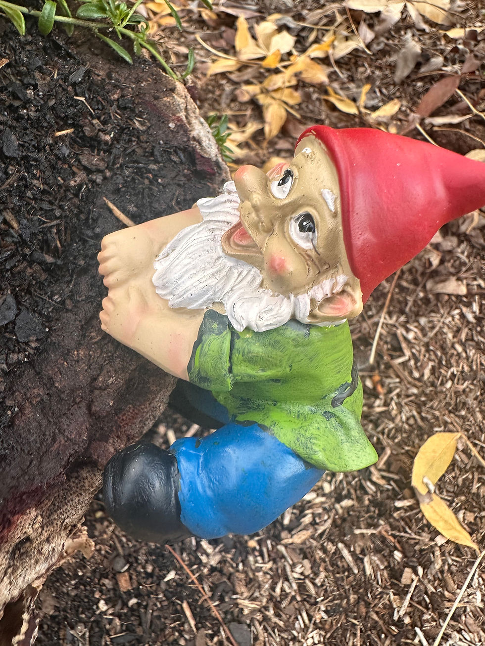 Thumbnail: Garden Gnome pot sitters