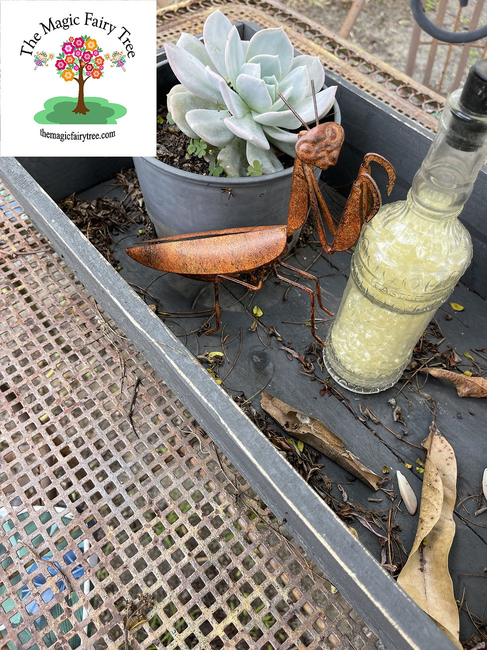 Thumbnail: Rustic Praying Mantis