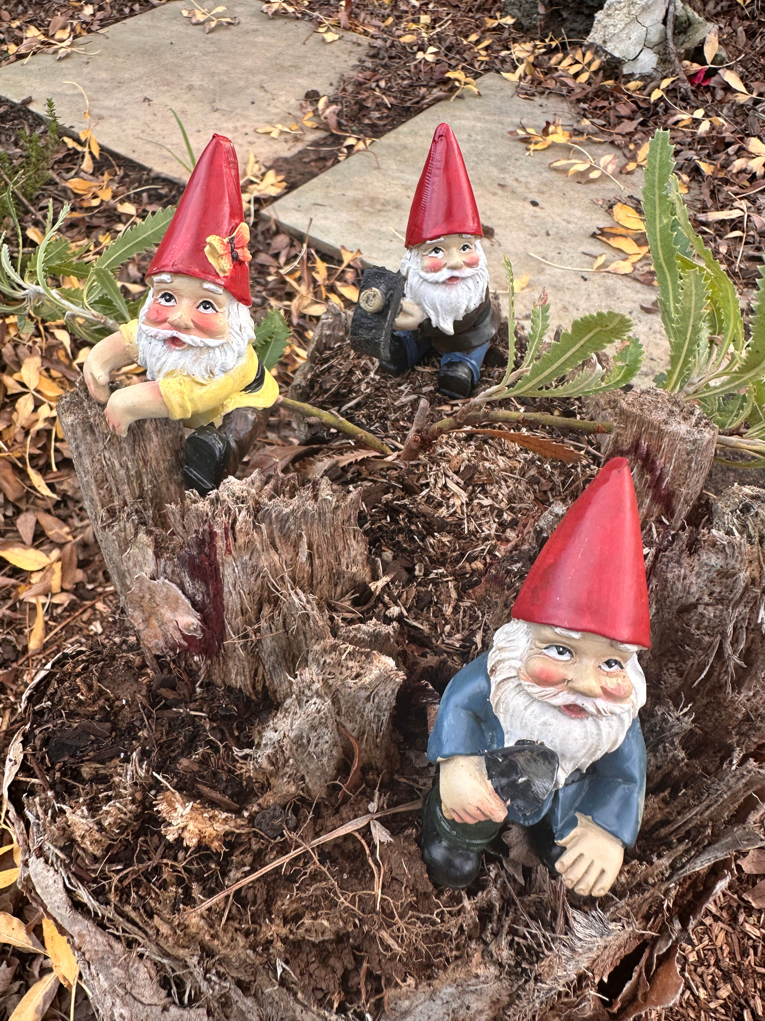 Gardening Gnome pot sitters