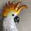 Thumbnail: Cockatoo on a branch wall art