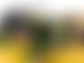 回顧LEGO® Serious PLAY® 體驗工作坊 - 自我探索