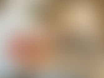 LEGO® SERIOUS PLAY® X 人生