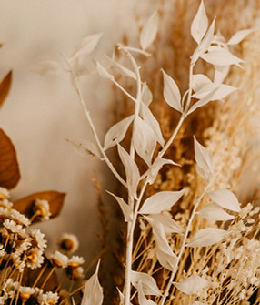 Dry bouquet symbolizing botanical support for fatty liver and cardiometabolic wellness.