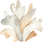 15.png