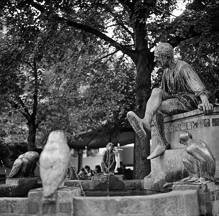 naloge Rolleiflex‑Schwarzweißaufnahme eines kunstvollen Brunnens mit Figuren unter schattigen Bäumen in Braunschweig; fotografiert für Tinographie.