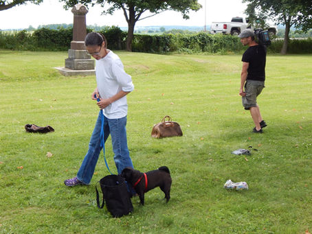 Scenting and Sniffing Games