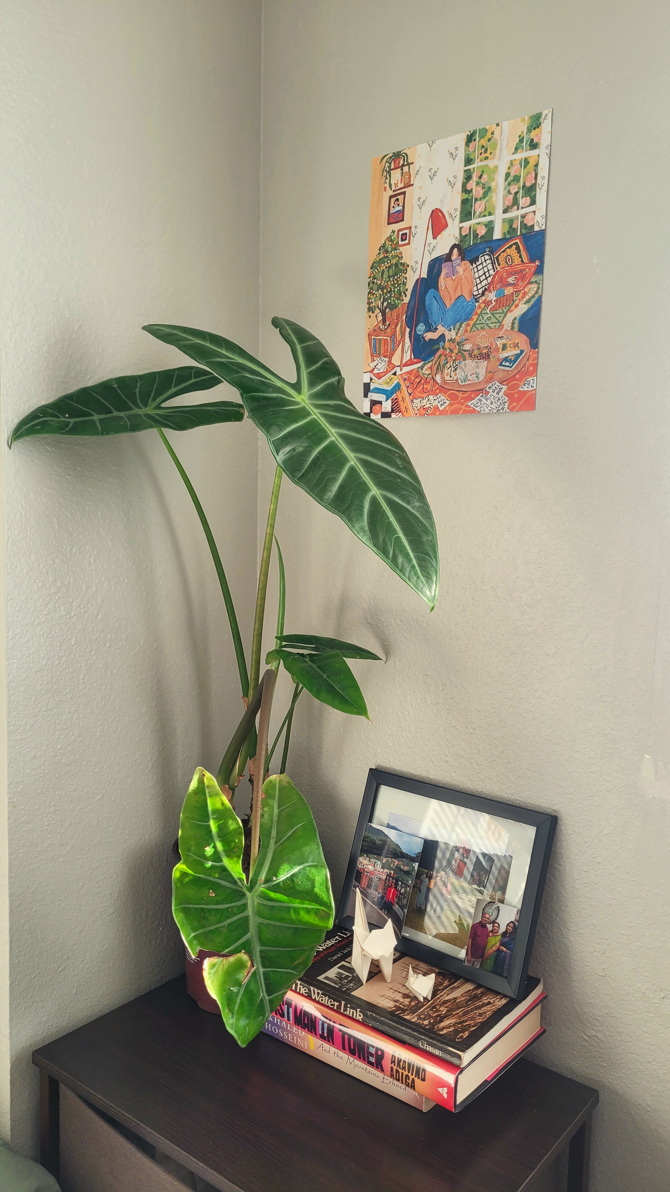 Plant 3.jpg