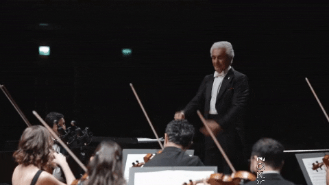 Classical Music Istanbul GIF by BORUSAN SANAT.gif