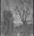 Traces © Lisa Gervassi