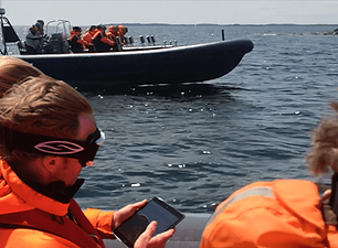 navigera rib 1.png