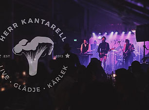 Herr Kantarell ny.jpeg