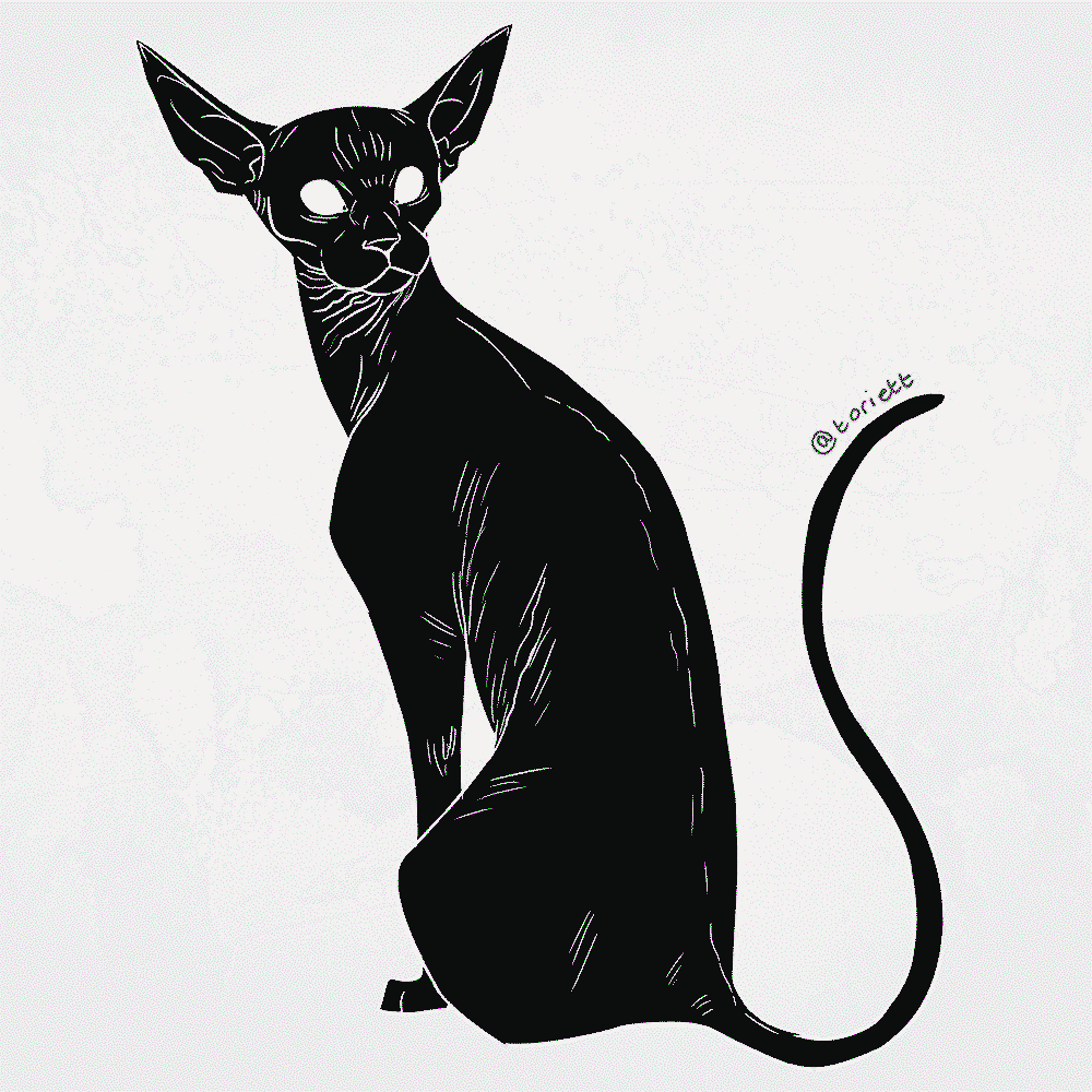 Hairless Cat Back Gif Best Cat Wallpaper