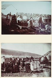 Ein Sonntag im Sumpf...