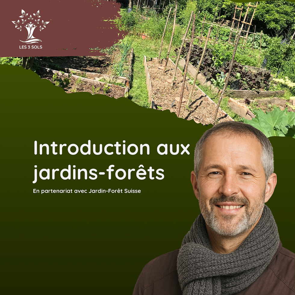 Introduction aux jardins-forêts