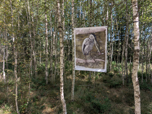 Œuvre Héron cendré s’envolant des massettes de Robert Hainard, imprimée sur bâche et exposée en pleine nature au Sentier de la Tourbière.