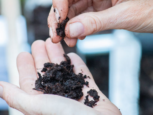 Comprendre la vie cachée qui soutient la nôtre