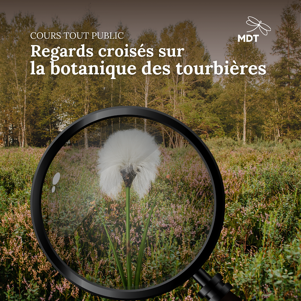 Regards croisés sur la botanique des tourbières