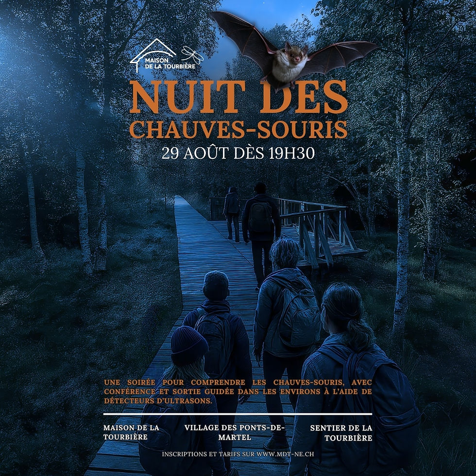 Nuit des Chauves-souris