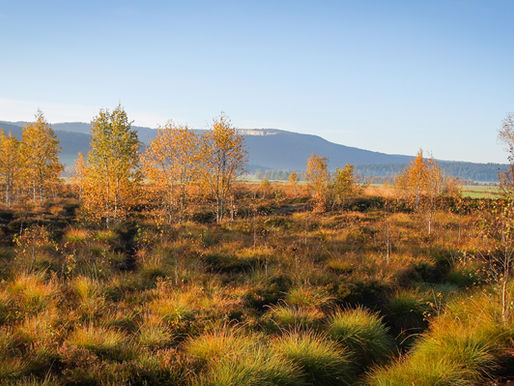 Das Projekt REGENERE wurde vom Jura Arc mit einem Jurypreis ausgezeichnet.