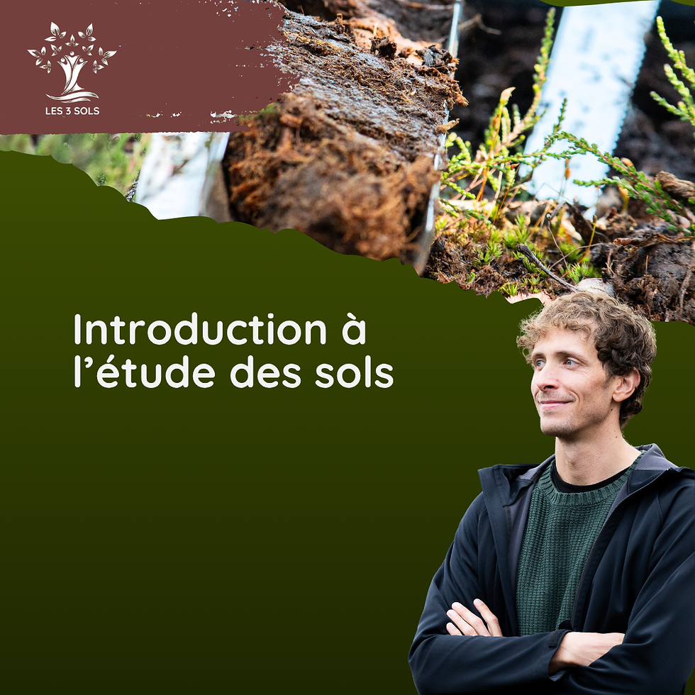 Introduction à l'étude des sols