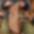Upscaled_Tisser_Panier_Osier.png