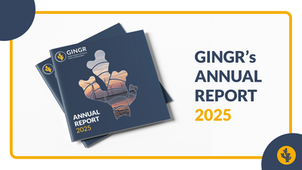 showcasing the GINGR Annual Report 2025
