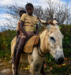 Children and the Faithful Donkey