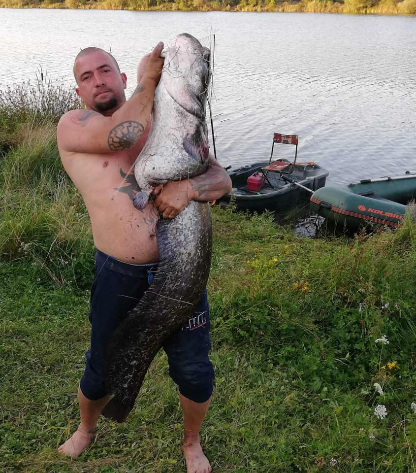 Тараторското сом.jpg