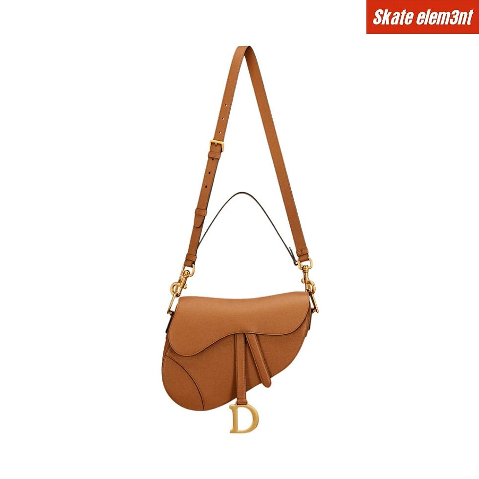 WBAG DIOR 'M SADDLE D STRAP'