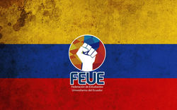 portada feue nacional.jpg