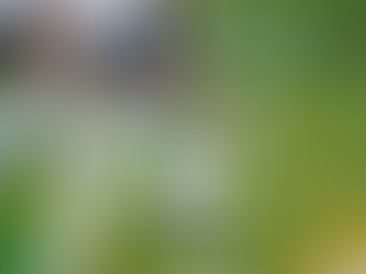 Building Champions: The Foundations of Player Development