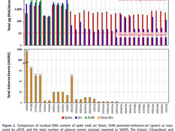 Study: Residual DNA in Pfizer and Moderna Vials