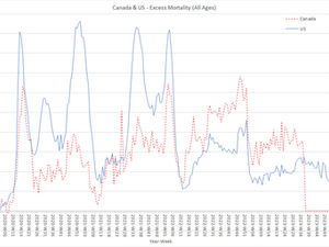 OECD Excess Mortality Stats