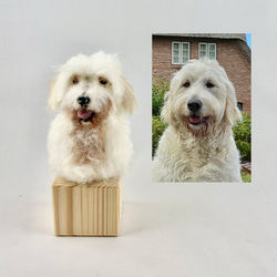 Labradoodle-Kopf-Portrait aus Filz nach Fotovorlage als Erinnerung an den lieben Hund